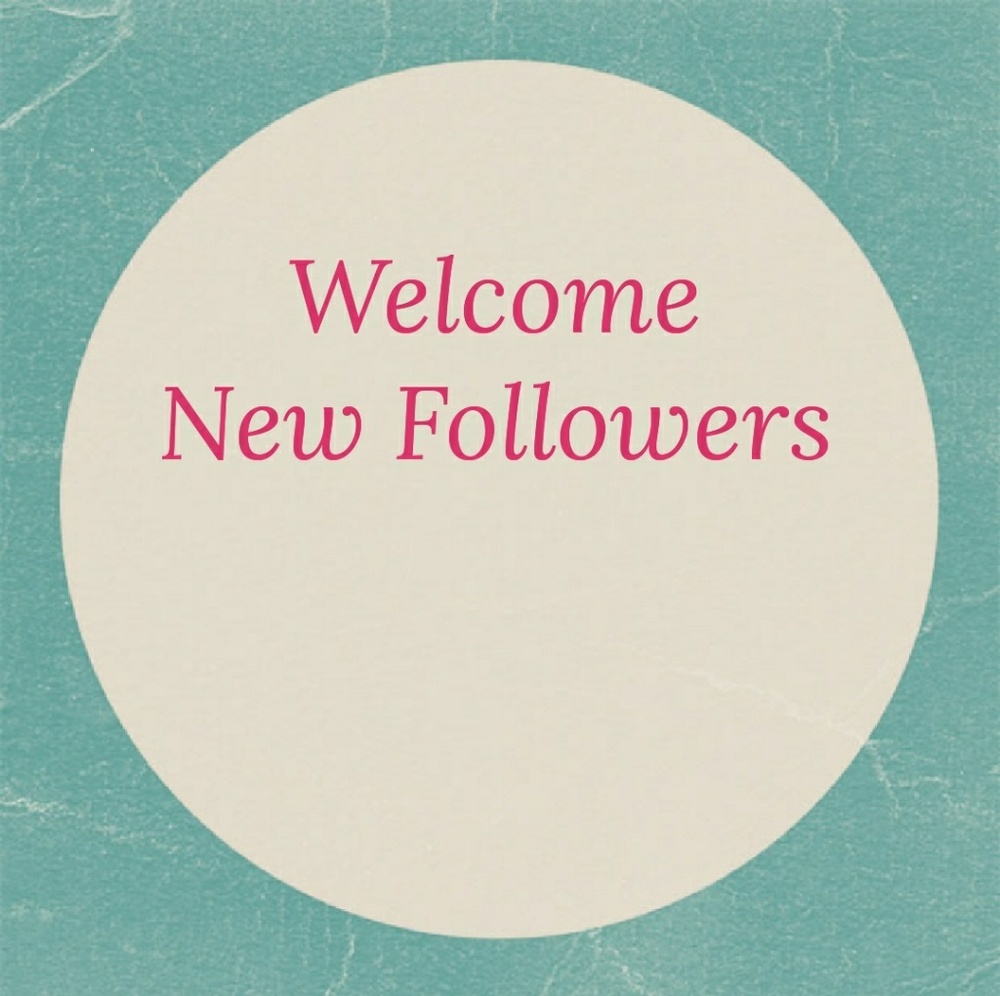 Welcome New Followers!!